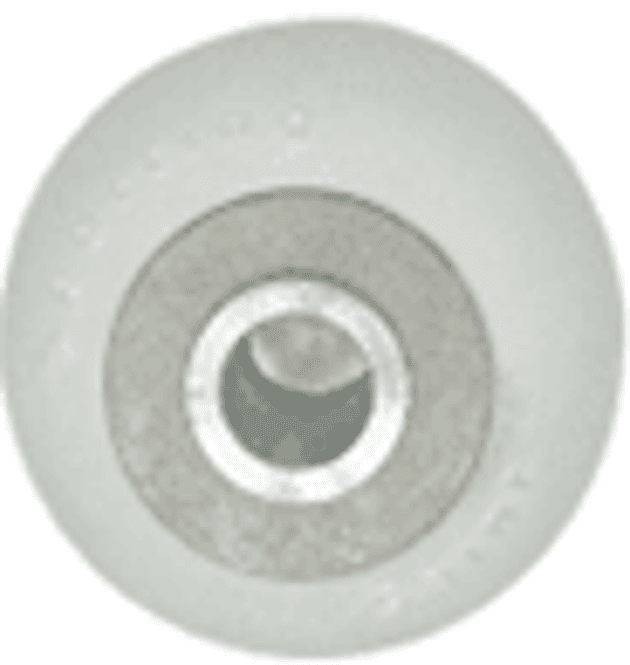 Huvudbild Dummy till apportkastare Vit plast  Boll Diameter 8 cm Diameter Vikt ca 230 g Sporting Saint